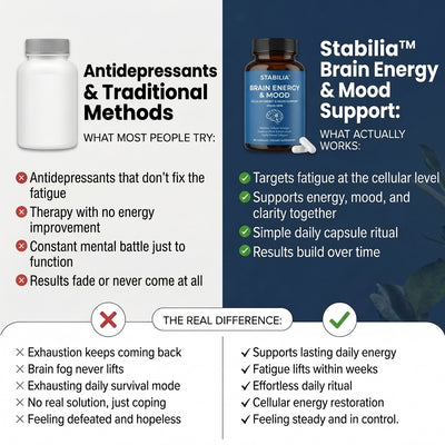 Stabilia™ Brain Energy & Mood Support