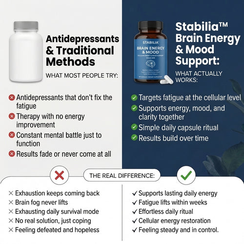 Stabilia™ Brain Energy & Mood Support