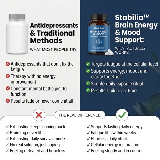 Stabilia™ Brain Energy & Mood Support