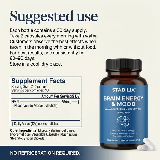 Stabilia™ Brain Energy & Mood Support